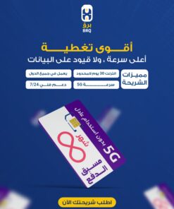 شريحة برق (لمدة شهر)